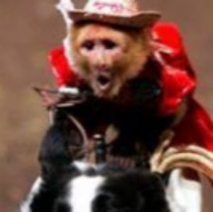 Meet your Posher, Dylan